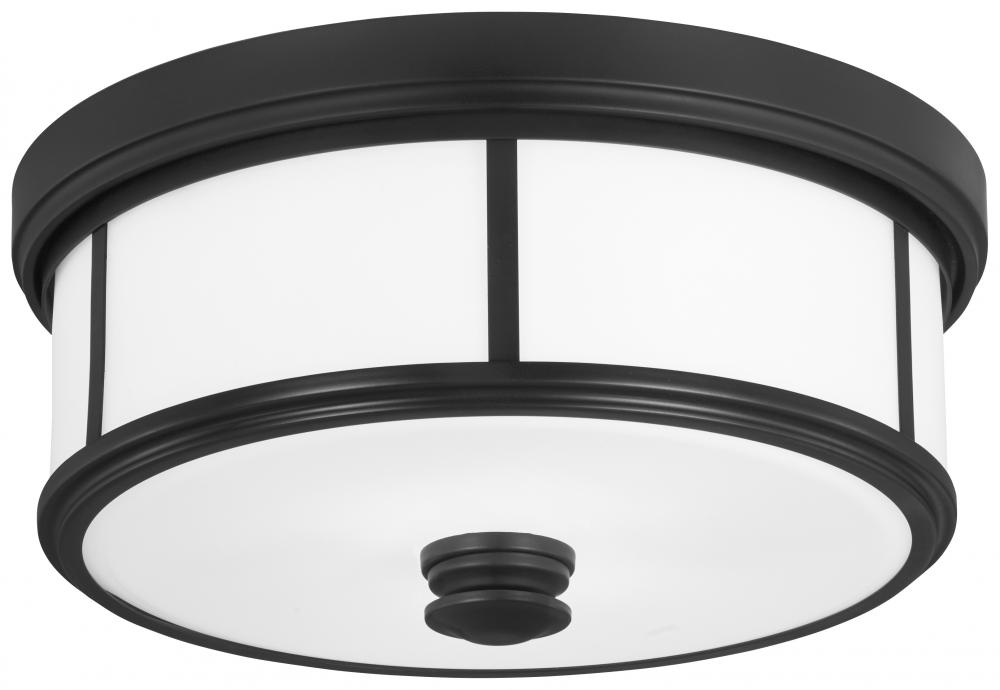 2 LIGHT CEILING LIGHT