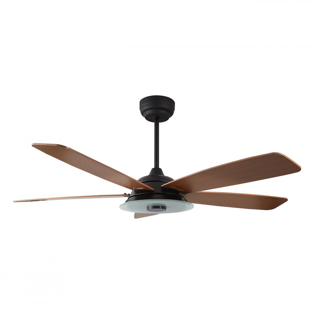 Striker 52-inch Indoor/Outdoor Smart Ceiling Fan, Dimmable LED Light Kit & Remote Con