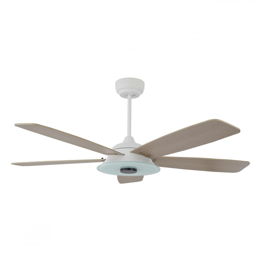 Striker 52-inch Indoor/Outdoor Smart Ceiling Fan, Dimmable LED Light Kit & Remote Con