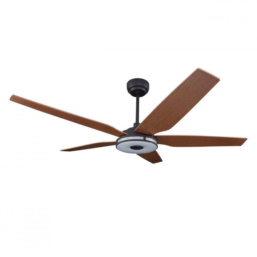 Explorer 52-inch Indoor/Outdoor Smart Ceiling Fan, Dimmable LED Light Kit & Remote Co