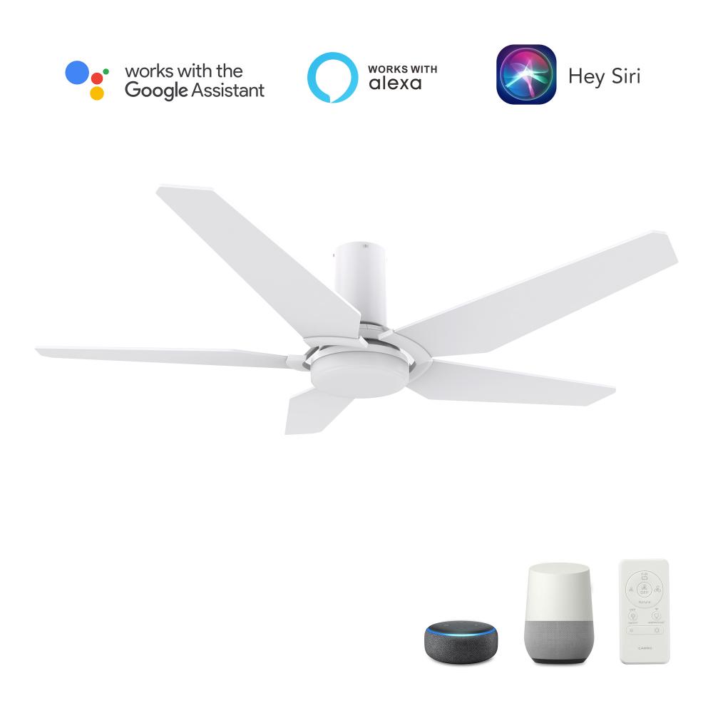 Woodrow 48-inch Smart Ceiling Fan with Remote, Light Kit Included, Works with Google Assistant, Amaz