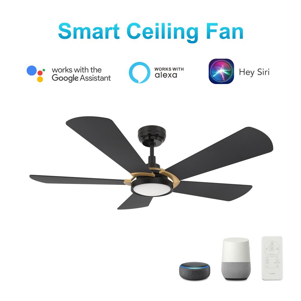 Winston 52-inch Smart Ceiling Fan with Remote, Light Kit Included, Works with Google Assistant, Amaz