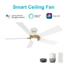 Carro USA VS485J1-L11-W1-1G-FM - Ascender 48-inch Smart Ceiling Fan with Remote, Light Kit Included, Works with Google Assistant, Ama