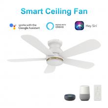 Carro USA VS485Q-L12-W1-1-FM - Dubois 48'' Smart Ceiling Fan with Remote, Light Kit Included?Works with Google Assistant an