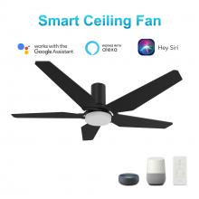 Carro USA VS525B-L22-B2-1-FM - Woodrow 52-inch Smart Ceiling Fan with Remote, Light Kit Included, Works with Google Assistant, Amaz