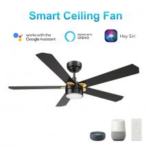 Carro USA VS525E2-L11-B2-1G - Tarrasa 52'' Smart Ceiling Fan with Remote, Light Kit Included?Works with Google Assistant a