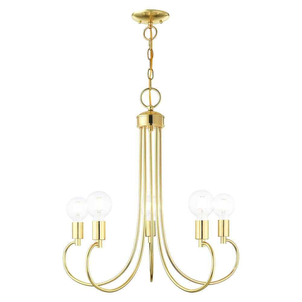 5 Lt Polished Brass Chandelier