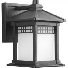 Progress P6000-31 - Merit Collection One-Light Wall Lantern