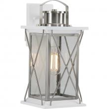 Progress P560157-135 - Barlowe Collection Stainless Steel One-Light Medium Wall Lantern