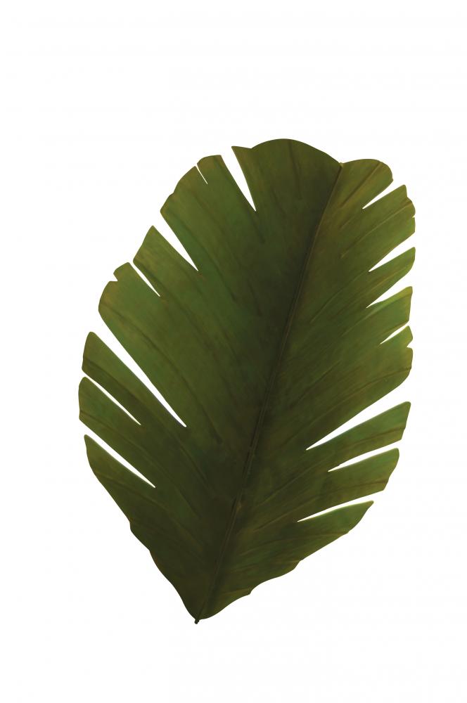 Banana Leaf 2-Lt Sconce