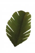 Varaluz 901K02 - Banana Leaf 2-Lt Sconce