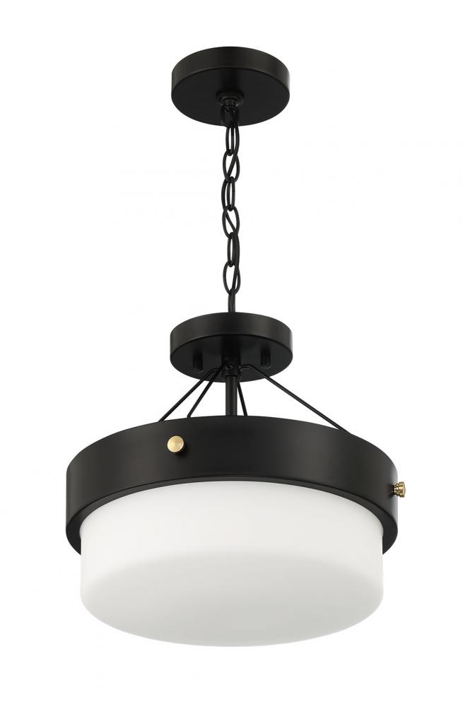 Oak Street 2 Light Convertible Semi Flush in Flat Black