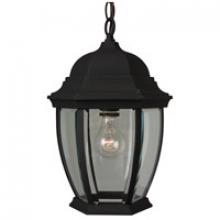 Craftmade Z281-TB - Bent Glass Cast 1 Light Outdoor Pendant in Textured Black