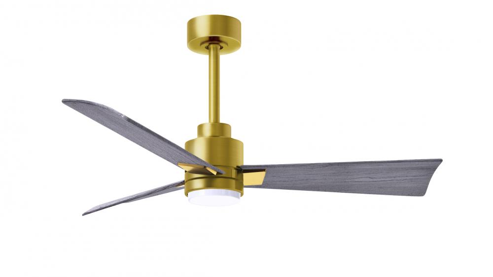 Alessandra 3-blade transitional ceiling fan in brushed brass finish with barnwood blades. Optimize