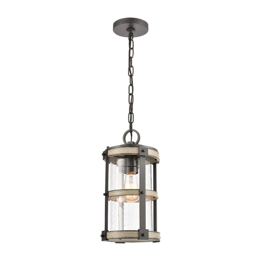 Annenberg 8'' Wide 1-Light Outdoor Pendant - Anvil Iron